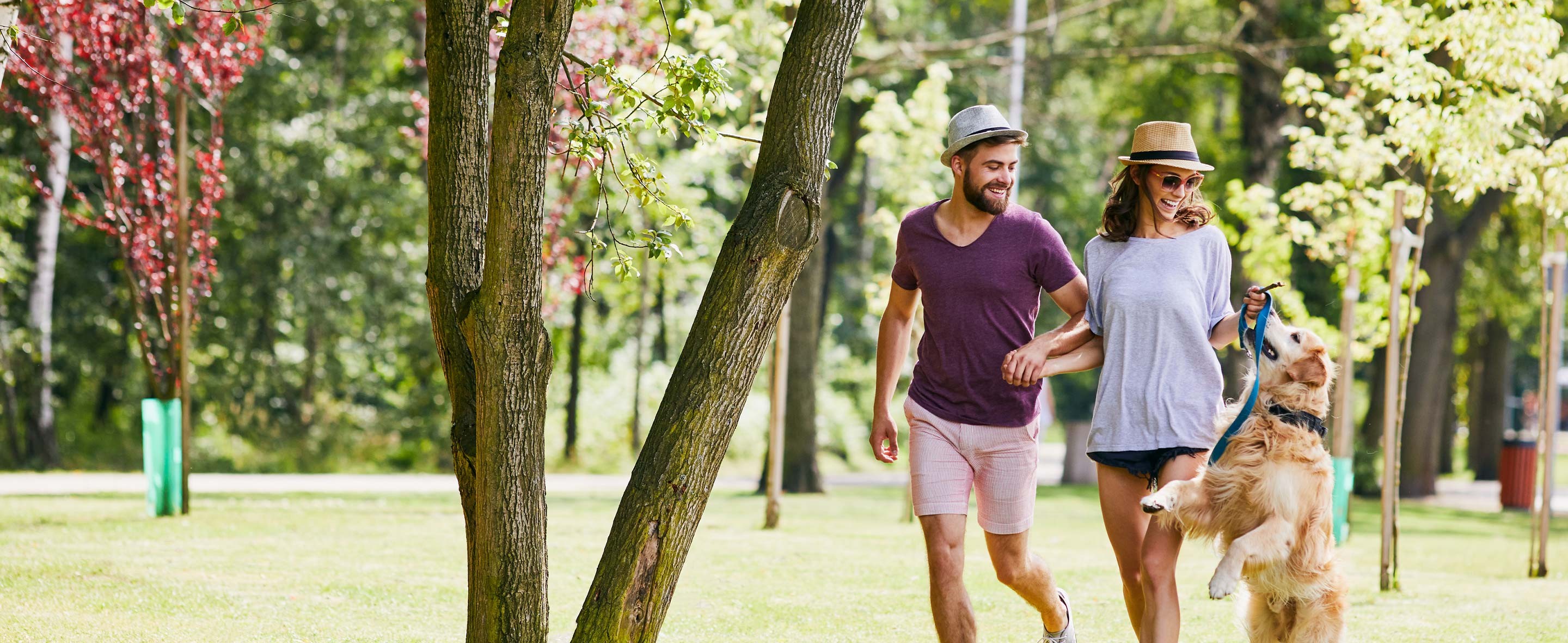 Products that support longevity & cellular renewal for people and pets.